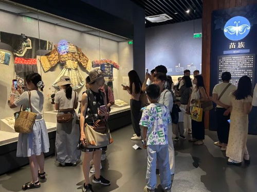 文化納涼 繪就南明夏日清涼畫(huà)卷 多元場(chǎng)館解鎖消暑新體驗(yàn)